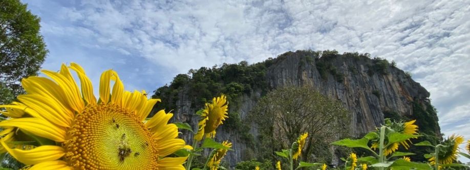 สภาสันติสุขตำบลทุ่งบุหลัง Cover Image