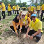 โครงการจิตอาสาตำบลแหลมโพธิ์_volunteer Profile Picture