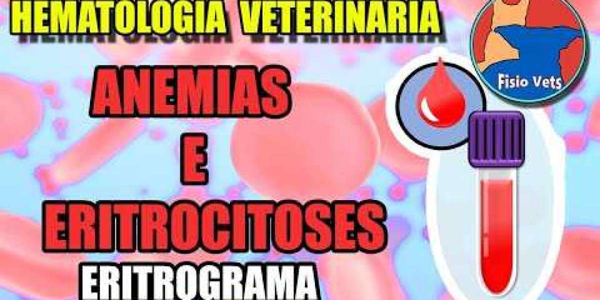 O Verdadeiro Custo de um Hemograma Completo para Seu Pet: Vale a Pena?